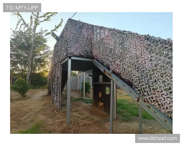 KU真人平台安全保障措施解析，确保玩家信息和资金安全的全面措施